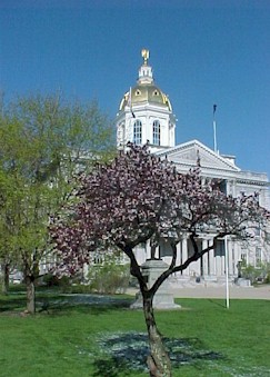 photo of NH State House